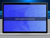 探索专利文件翻译对知识产权保护的作用