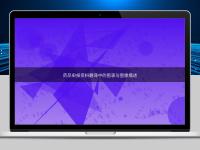 药品申报资料翻译中的图表与图像描述